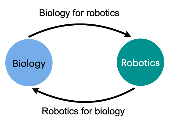 IROS2025